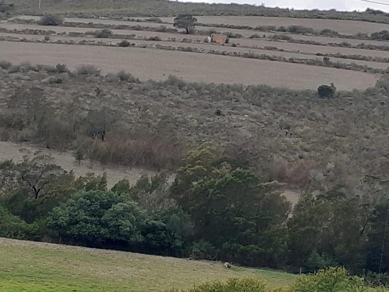 0 Bedroom Property for Sale in Albertinia Western Cape